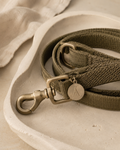 The multifunctional lead