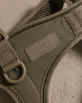 Harness designed for movement